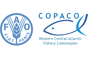 FAO-COPACO