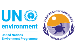 UN Environment CEP